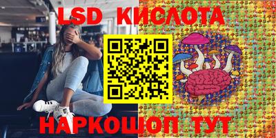 СК Рыбинск