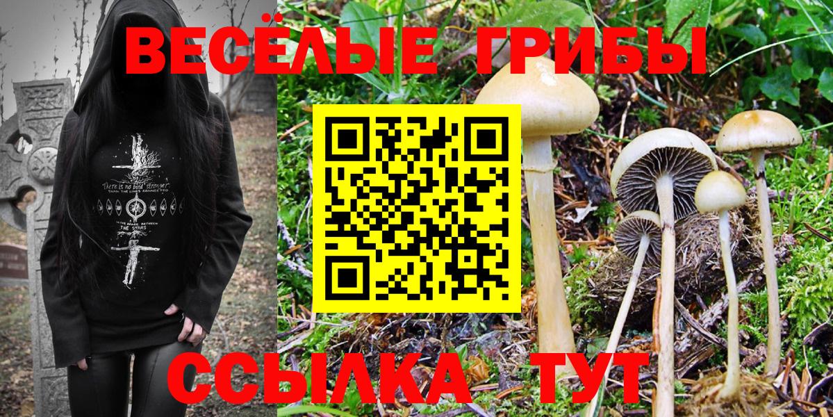 Галлюциногенные грибы Cubensis  Вход с VPN  Галлюциногенные грибы мицелий  Брянск 
